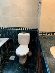 Sarkies Gardens (D10), Condominium #501521291